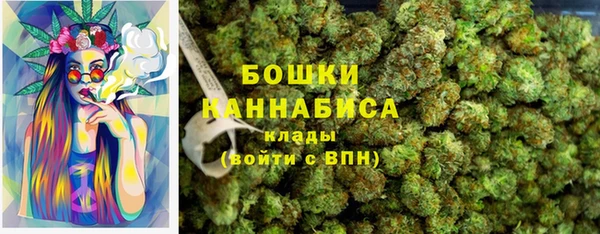 сатива Абаза
