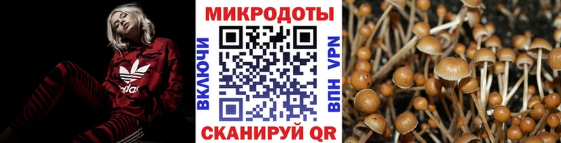 как найти наркотики  Стрежевой  Псилоцибиновые грибы прущие грибы 